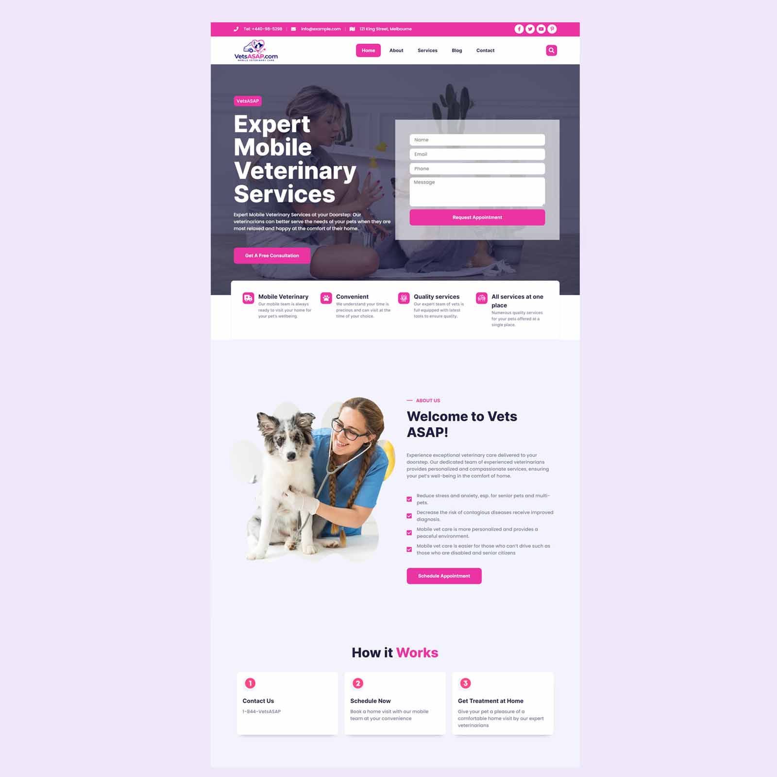 Vet Clininc Website Design