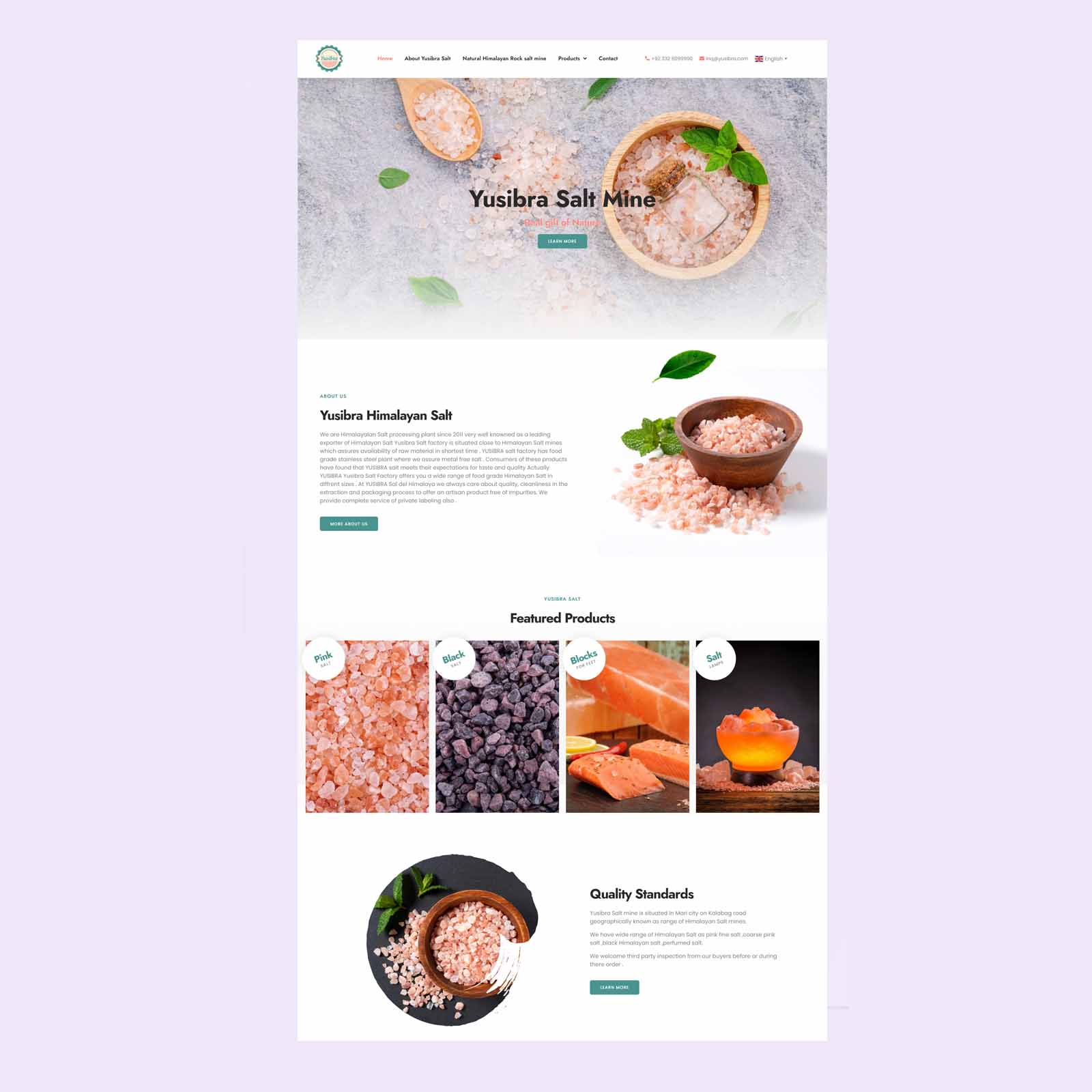 Pink Salt Mining Website Design for YUSIBRA